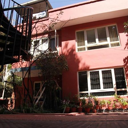 Ojas Wellness B&B Lalitpur Zewnętrze zdjęcie