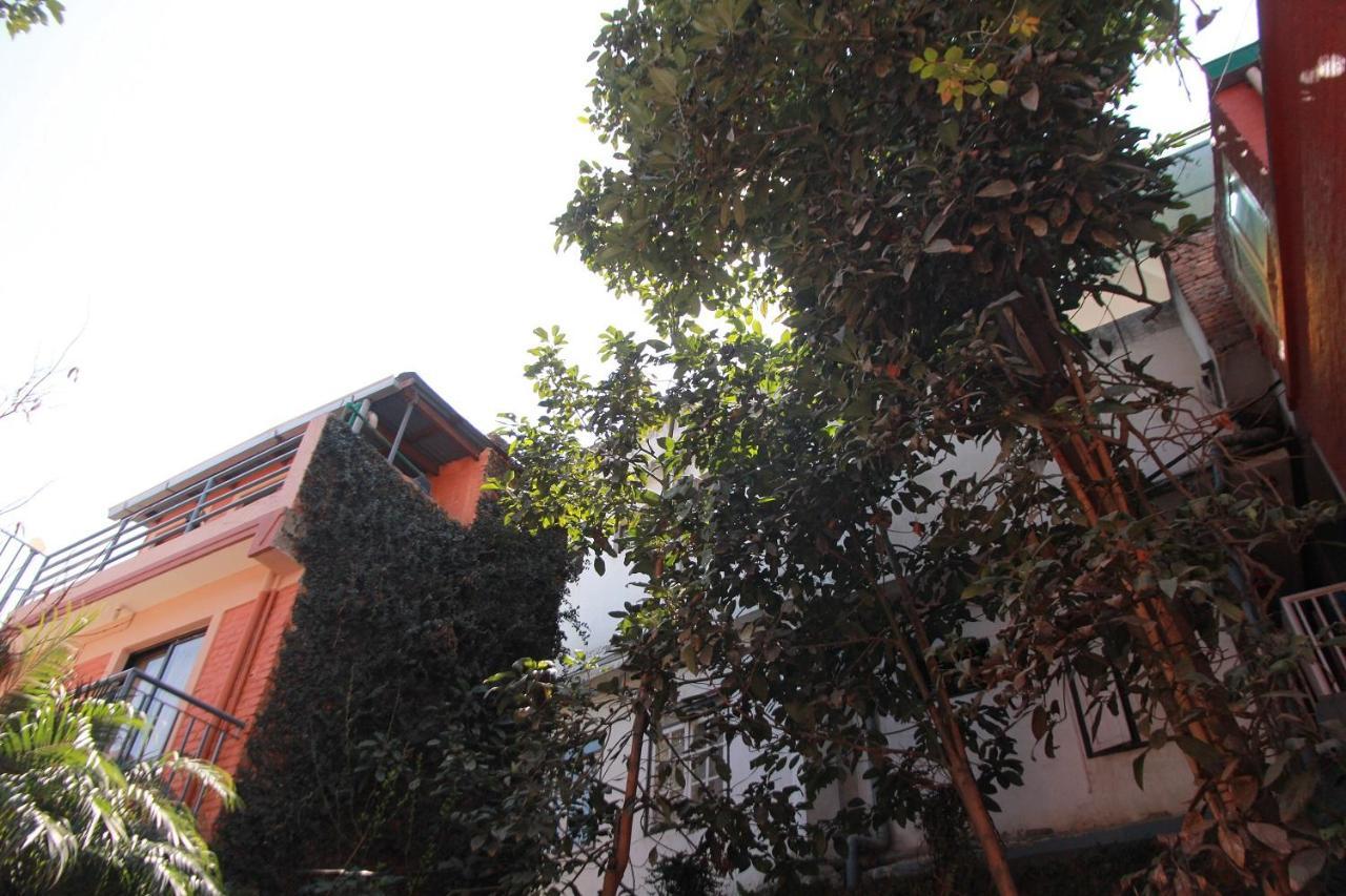 Ojas Wellness B&B Lalitpur Zewnętrze zdjęcie